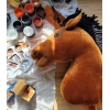 Hobby Horse Bâton Cheval Bai Clair