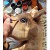 Hobby Horse Palomino Cheval Sur Un Bâton Premium