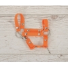 Licol pour Cheval Bâton A4 Orange