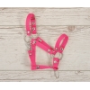 Licol pour Cheval Bâton  A3 Rose Foncé