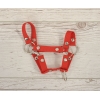 Licol pour Cheval Bâton A4 Rouge