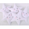 Oreiller LITTLE STAR avec Hochet Blanc