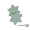 Set de 2 Coussins Blanc Vert Vert Pastel