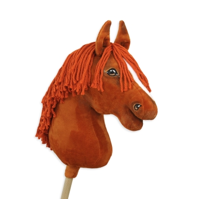 Cheval Sur Un Bâton Sport