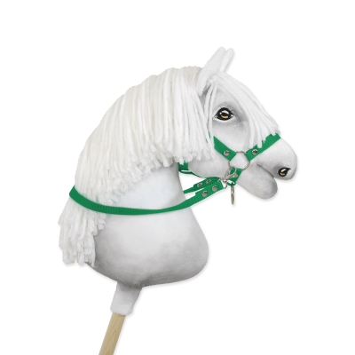 Rênes pour Cheval Bâton Vert