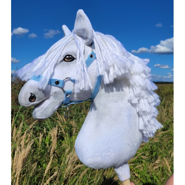 Hobby horse à vendre pas cher