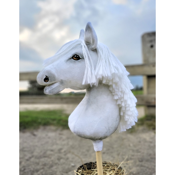 Cheval  Bâton Sport
