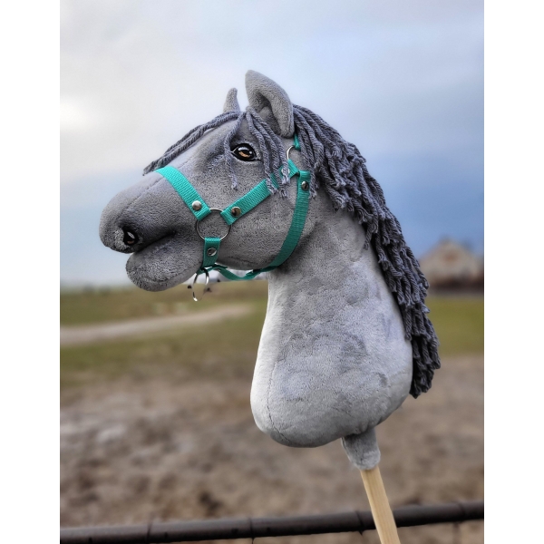 Cheval Bâton Gris A3