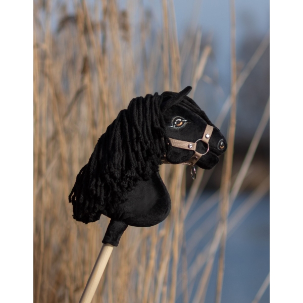 Cheval Bâton Noir A4