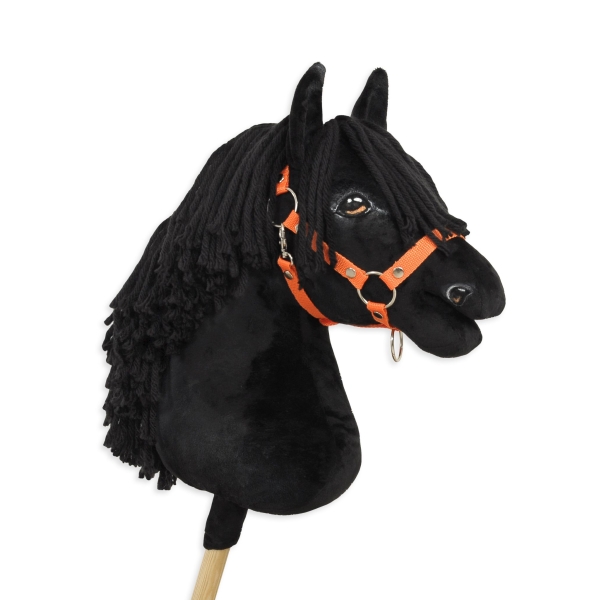 Cheval bâton pour compétition noir