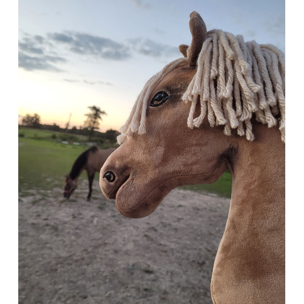 Cheval sur Bâton Palomino
