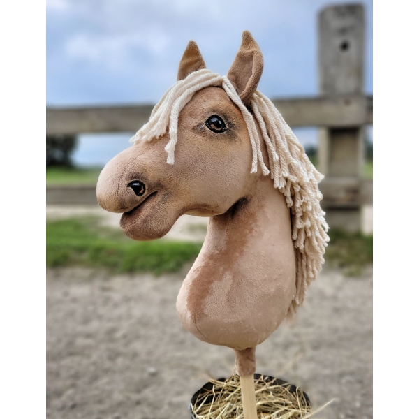 Cheval sur Bâton un discipline sportive