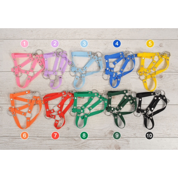 Hobby Horse  Premium Cheval Bai