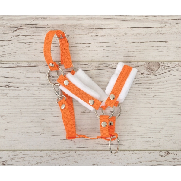 Licol avec Fourrure Blanche pour Cheval Bâton A3 Orange
