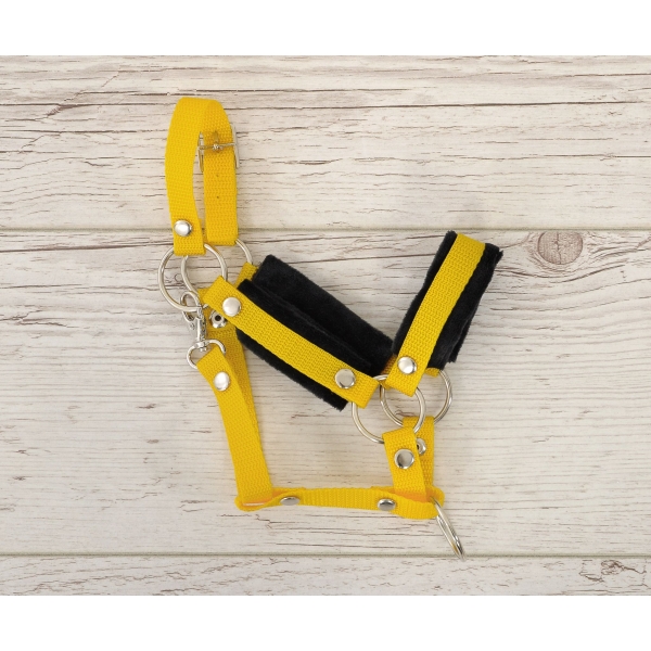 Licol avec Fourrure Noire pour Cheval  Bâton  A3 Jaune