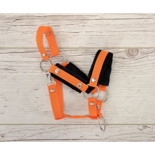 Licol avec Fourrure Noire pour Cheval  Bâton  A3 Orange