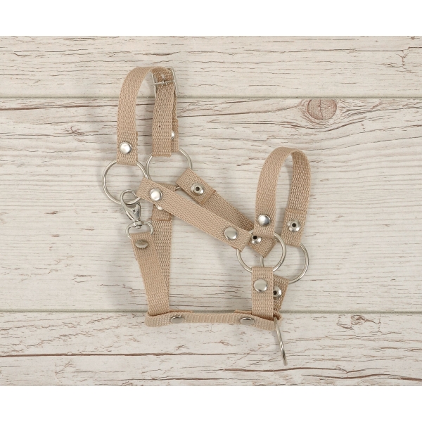 Licol pour Cheval Bâton  A3 Beige