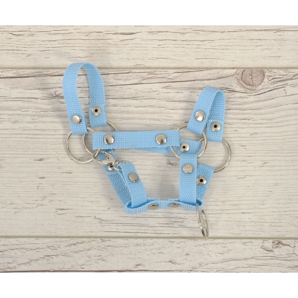 Licol pour Cheval Bâton A4 Bleu Clair
