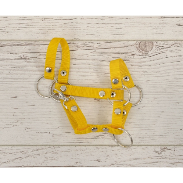 Licol pour Cheval Bâton A4 Jaune