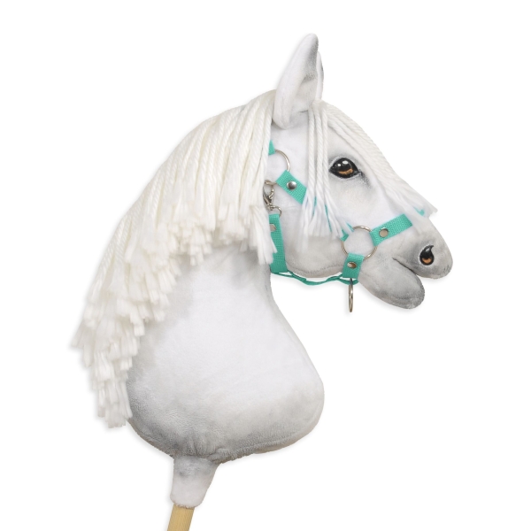 Licol pour Cheval Bâton  A3 Menthe
