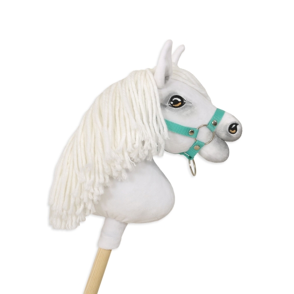 Licol pour Cheval Bâton A4 Menthe