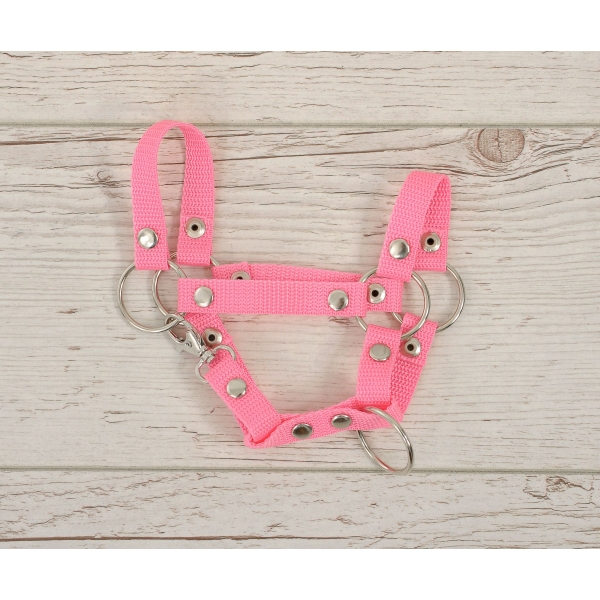 Licol pour Cheval Bâton A4 Rose