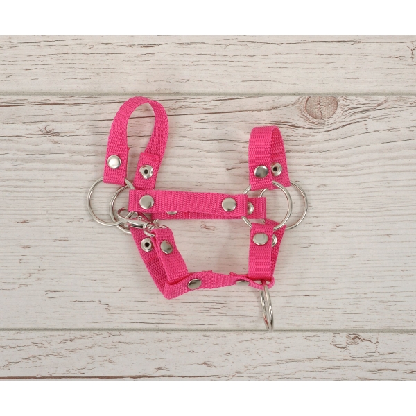 Licol pour Cheval Bâton A4 Rose Foncé