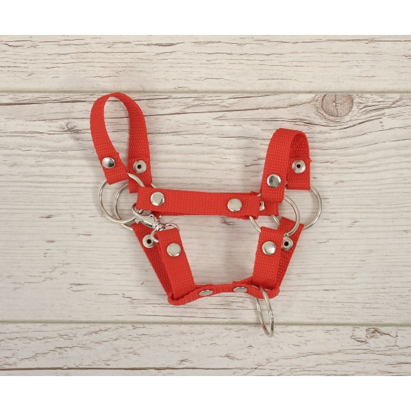 Licol pour Cheval Bâton A4 Rouge