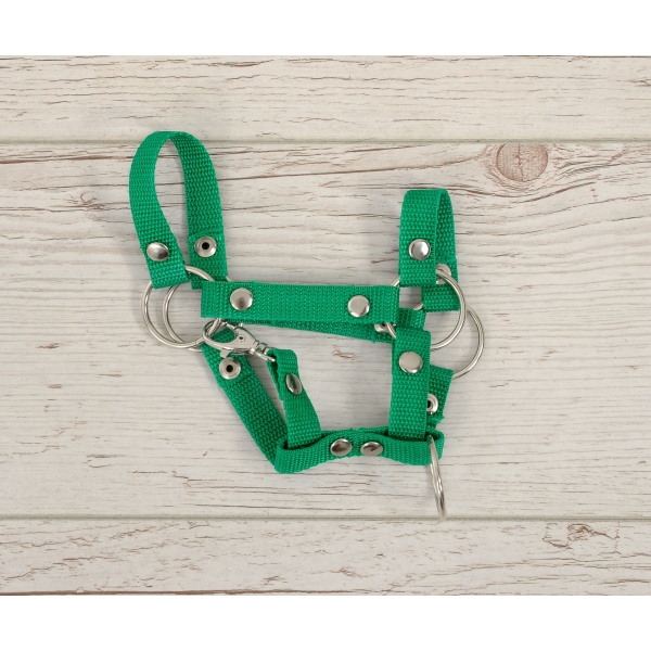 Licol pour Cheval Bâton A4 Vert