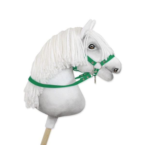 Rênes pour Cheval Bâton Vert