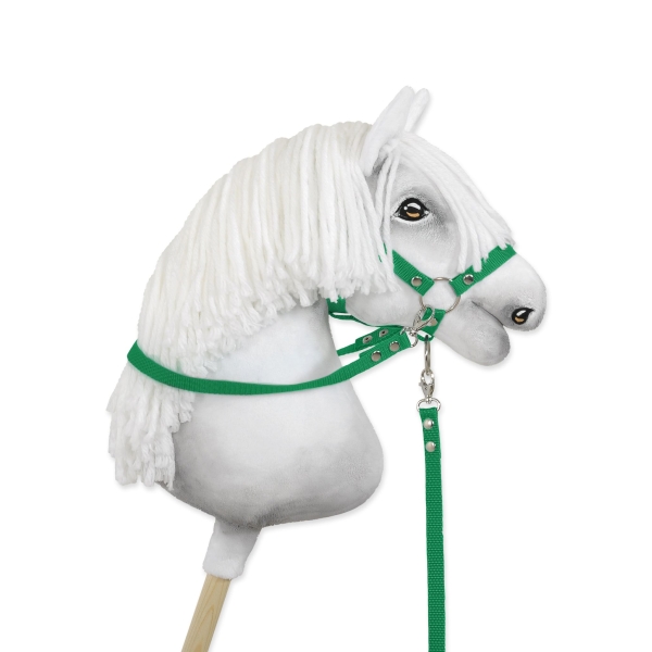 Rênes pour Cheval Bâton Vert